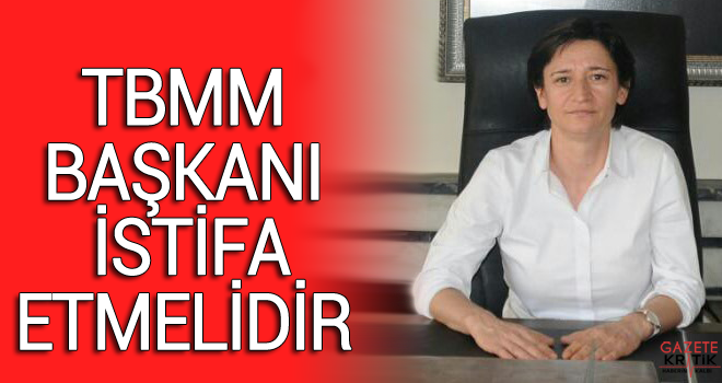 TBMM Başkanı İstifa Etmelidir