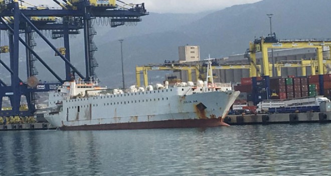 22 gündür gemide bekletilen angusların tahliyesine başlandı