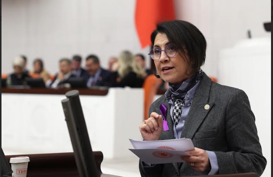 CHP'li Aylin Yaman: Kadınlar engellilikte de daha dezavantajlı!