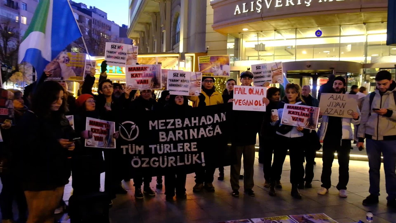 Hayvanseverlerden çağrı: Herkesi hayvanların katliamına aynı anda karşı çıkmaya çağırıyoruz