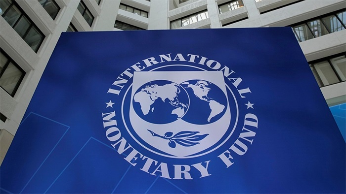 Vatandaşlık Maaşı IMF’nin Tavsiyeleriyle Örtüşüyor mu?