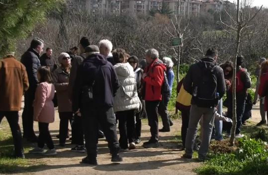 Validebağ’da Fidan Sökenlere Tepki: 