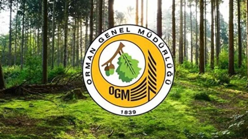 Orman Genel Müdürlüğü'ne işçi alımı ne zaman başlayacak?