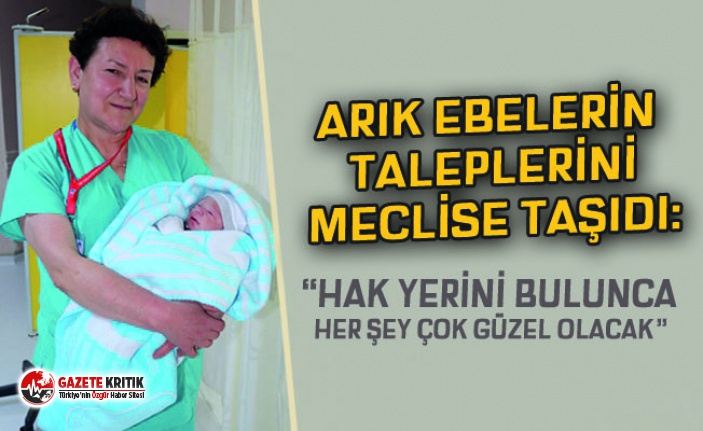 ARIK EBELERİN SORUNLARINI MECLİSE TAŞIDI