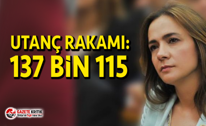 UTANÇ RAKAMI: 137 BİN 115