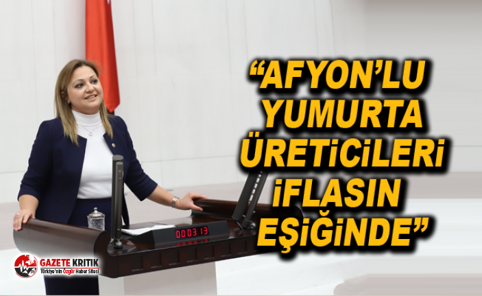 “Afyon’lu yumurta üreticileri iflasın eşiğinde”