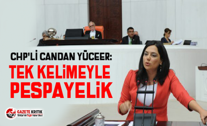 CHP'Lİ CANDAN YÜCEER:TEK KELİMEYLE PESPAYELİK.