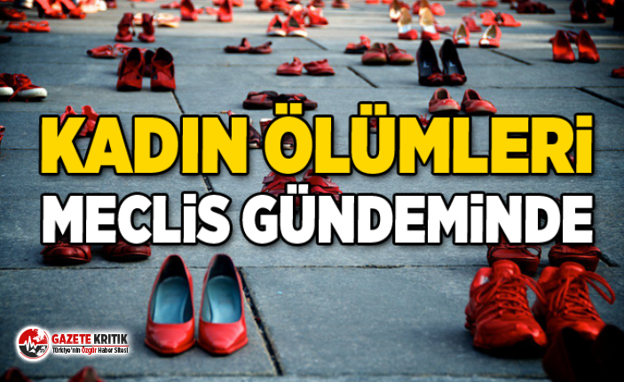 Tanrıkulu Kadın Ölümlerini Meclis Gündemine Taşıdı!