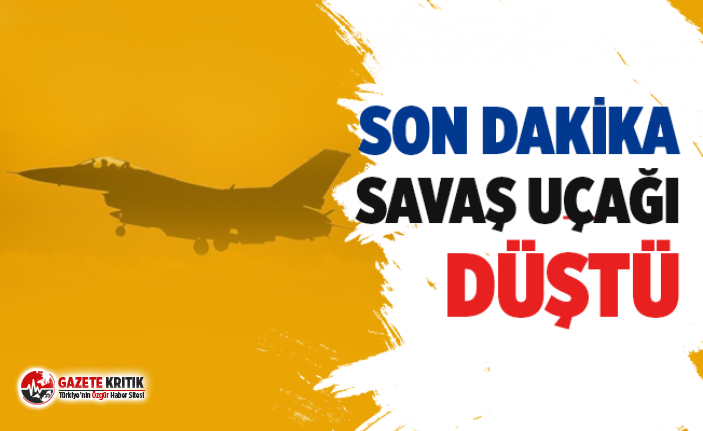 Almanya'da ABD savaş uçağı düştü