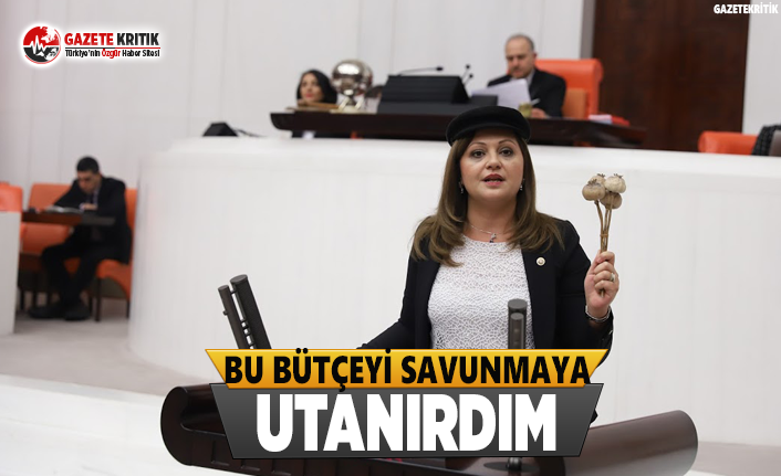 Bu Bütçeyi Savunmaya Utanırdım