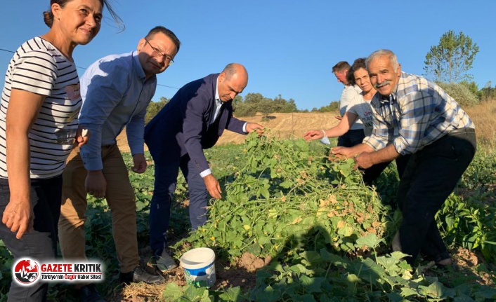 CHP'li Şahin:Balıkesirli Üreticiler Dertlerini Araçlarına Yazar Hale Geldiler!