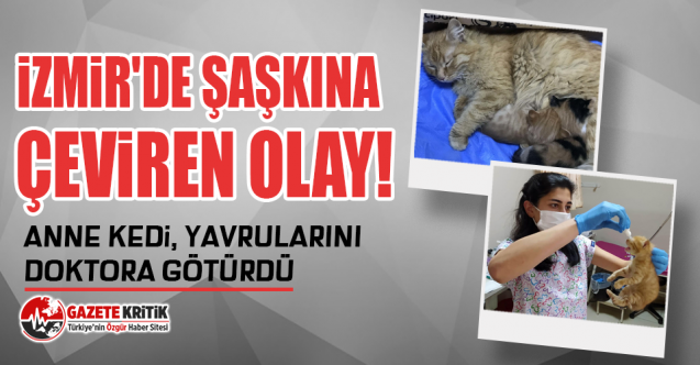 İzmir'de şaşkına çeviren olay!