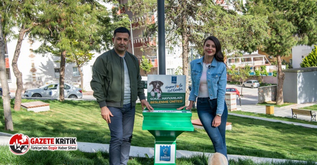 Kuşadası’nda Sokak Hayvanları Aç Kalmayacak