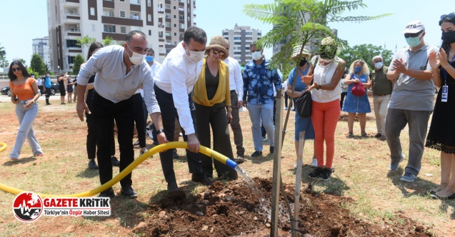 Yenişehir’de jakaranda koruluğu oluşturuldu