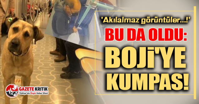 Bu da oldu: Boji'ye kumpas!