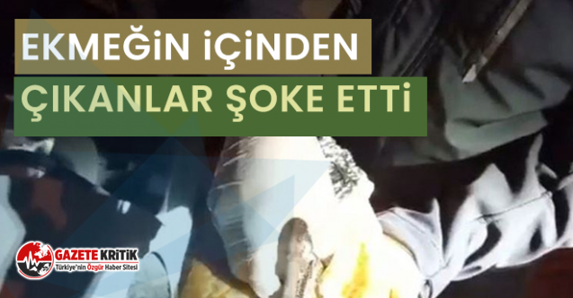 Ekmeğin içinden çıkanlar şoke etti