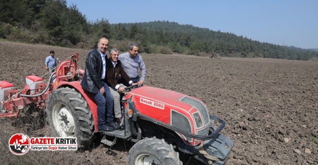 MUDANYA BELEDİYESİ’NİN AYÇİÇEK TOHUMLARI TOPRAKLA BULUŞTU 