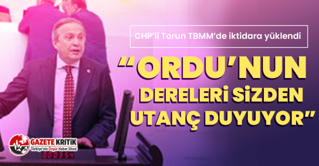 CHP’li Torun TBMM’de iktidara yüklendi