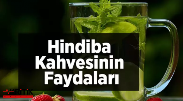 Hindiba Nedir? Hindiba Kahvesi Faydaları?