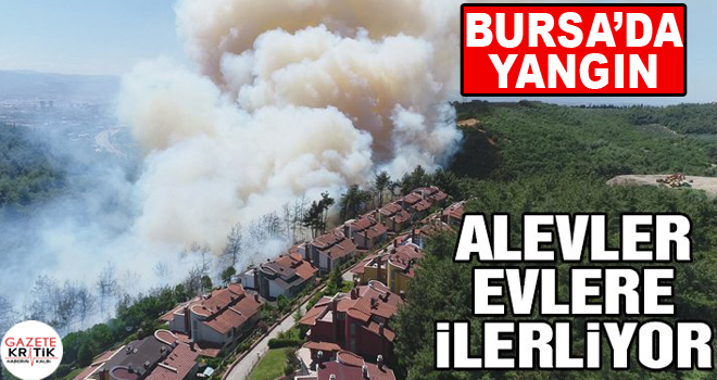 Bursa'da orman yangını! Dumanlar karayolunu kapladı