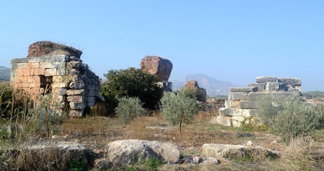 Üzüm bağları arasındaki 1800 yıllık bazilika keşfedilmeyi bekliyor