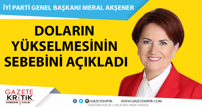 İyi Parti Genel Başkanı Meral Akşener, Doların yükselmesinin sebebini açıkladı