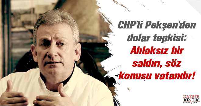 CHP'li Pekşen'den dolar tepkisi: Ahlaksız bir saldırı, söz konusu vatandır!