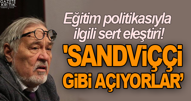 İlber Ortaylı: Sandviççi dükkanı gibi özel okul açıyorlar