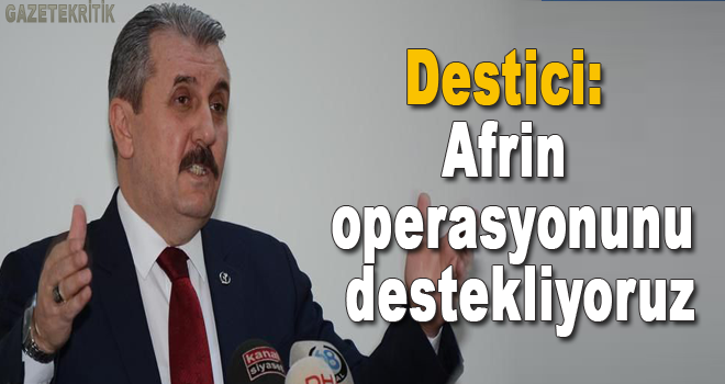 Destici: Afrin operasyonunu destekliyoruz