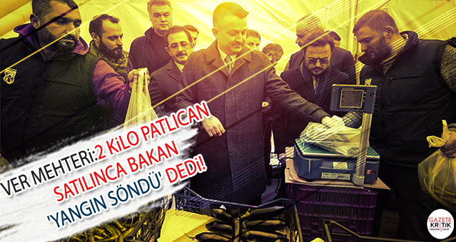 Ver mehteri: 2 kilo patlıcan satılınca bakan 'yangın söndü' dedi!