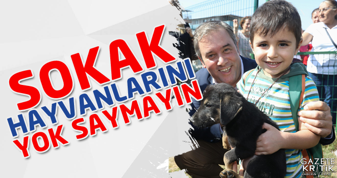 SOKAK HAYVANLARINI YOK SAYMAYIN