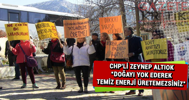 CHP'li Zeynep Altıok 'Doğayı yok ederek temiz enerji üretemezsiniz'