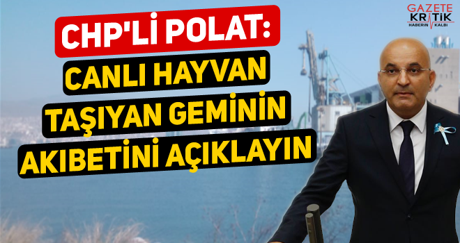 CHP'Lİ POLAT: CANLI HAYVAN TAŞIYAN GEMİNİN AKIBETİNİ AÇIKLAYIN