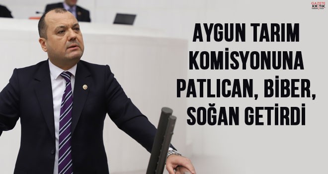 AYGUN TARIM KOMİSYONUNA PATLICAN, BİBER, SOĞAN GETİRDİ