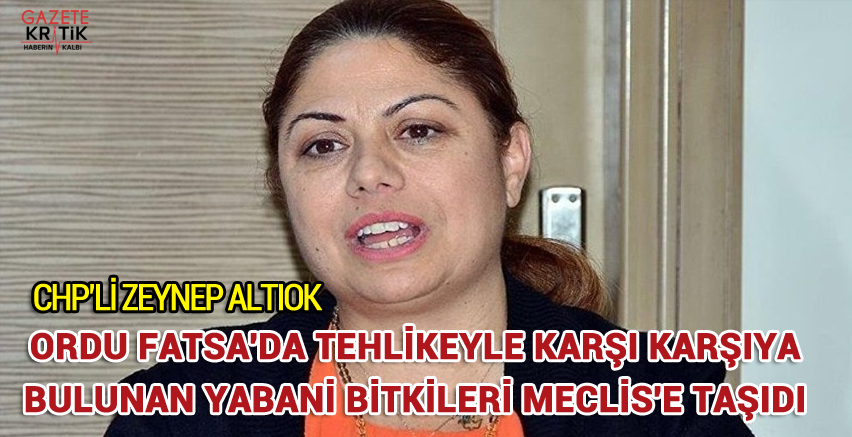 ALTIOK, ORDU FATSA'DA TEHLİKEYLE KARŞI KARŞIYA BULUNAN YABANİ BİTKİLERİ MECLİS'E TAŞIDI