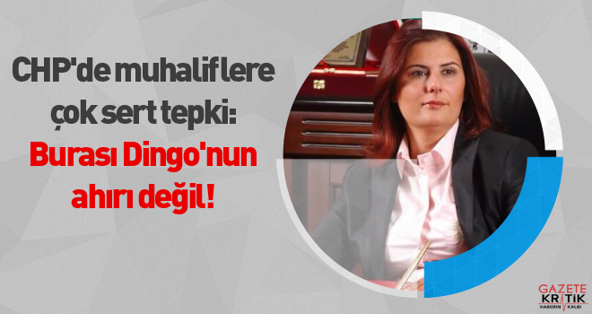 CHP'de muhaliflere çok sert tepki: Burası Dingo'nun ahırı değil!