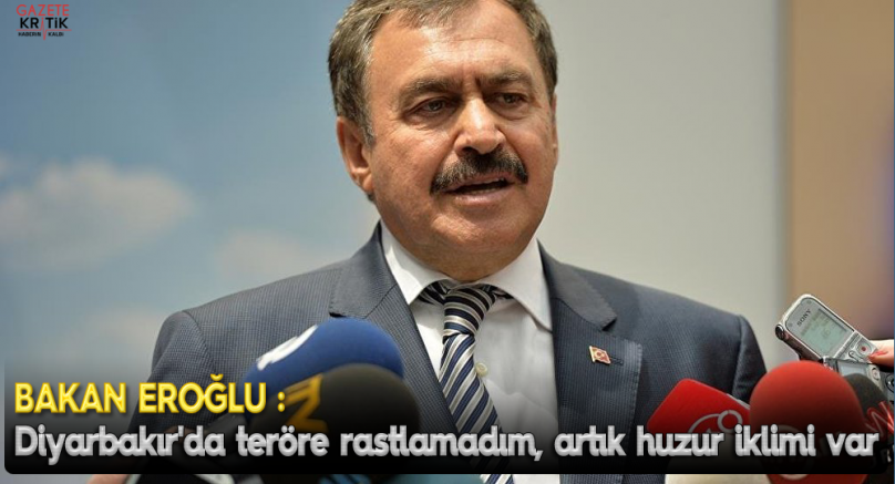 Bakan Eroğlu: Diyarbakır'da teröre rastlamadım, artık huzur iklimi var