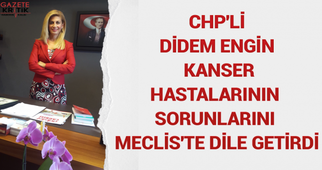 CHP'Lİ DİDEM ENGİN KANSER HASTALARININ SORUNLARINI MECLİS'TE DİLE GETİRDİ