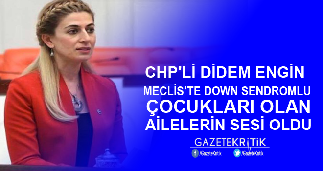 CHP'Lİ DİDEM ENGİN MECLİS'TE DOWN SENDROMLU ÇOCUKLARI OLAN AİLELERİN SESİ OLDU