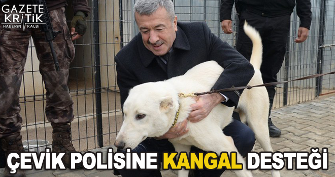 Çevik polisine kangal desteği