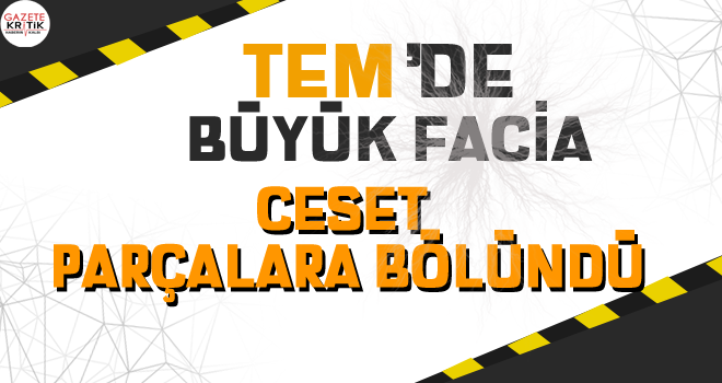 TEM'de korkunç kaza: Ceset parçalara bölündü