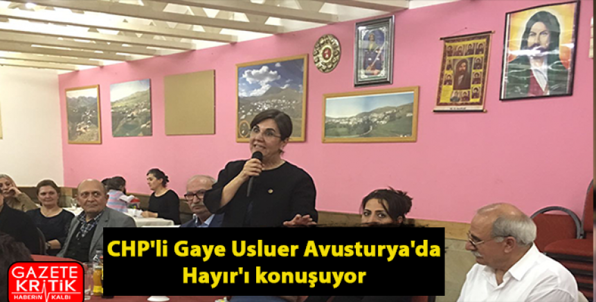 CHP'li Gaye Usluer Avusturya'da Hayır'ı konuşuyor