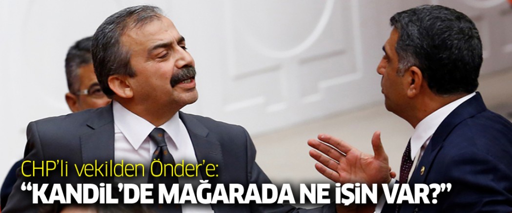 CHP'li Gürsel Erol'dan Önder'e: 'Kandil'de dağda ne işin var?'