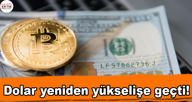 Dolar yeniden yükselişe geçti!