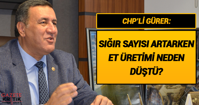 GÜRER: SIĞIR SAYISI ARTARKEN ET ÜRETİMİ NEDEN DÜŞTÜ?