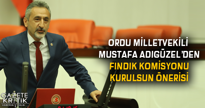 ORDU MİLLETVEKİLİ MUSTAFA ADIGÜZEL'DEN FINDIK KOMİSYONU KURULSUN ÖNERİSİ