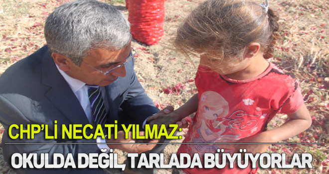 CHP'NECATİ YILMAZ:OKULDA DEĞİL, TARLADA BÜYÜYORLAR