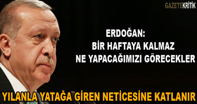 Erdoğan: Bir haftaya kalmaz ne yapacağımızı görecekler