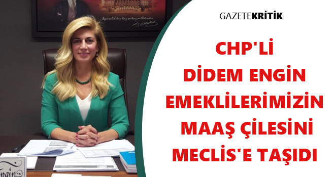 CHP'Lİ DİDEM ENGİN EMEKLİLERİMİZİN MAAŞ ÇİLESİNİ MECLİS'E TAŞIDI