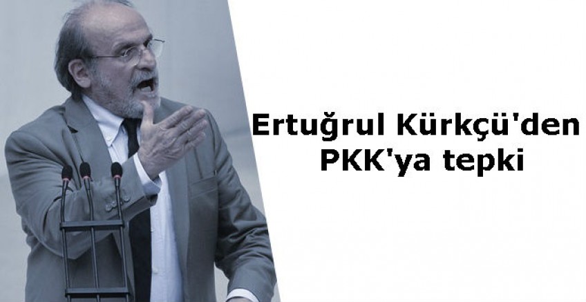 HDP'li Ertuğrul Kürkçü'den PKK'ya tepki